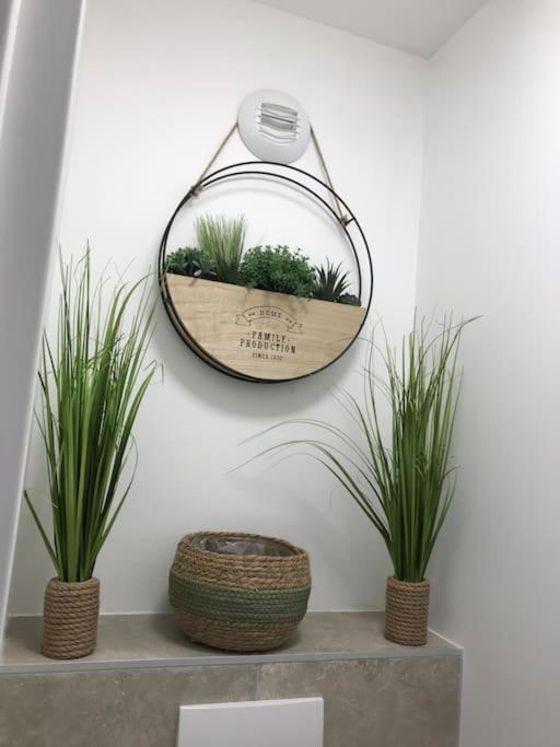 ואלאוריס Studio « Oasis Provencale » מראה חיצוני תמונה